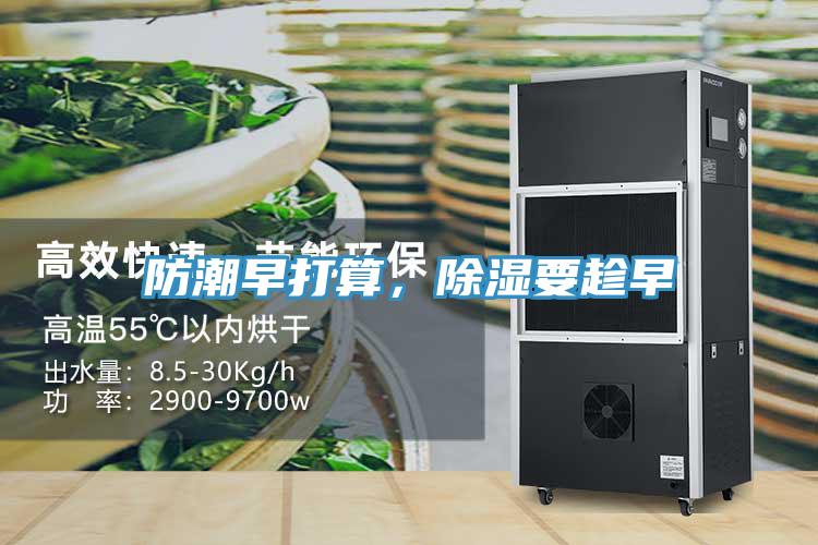 防潮早打算，除湿要趁早