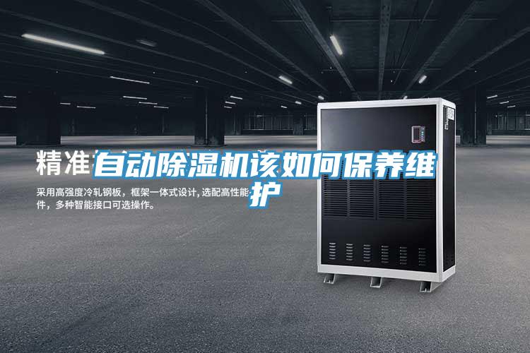 自动猫咪成人官网该如何保养维护