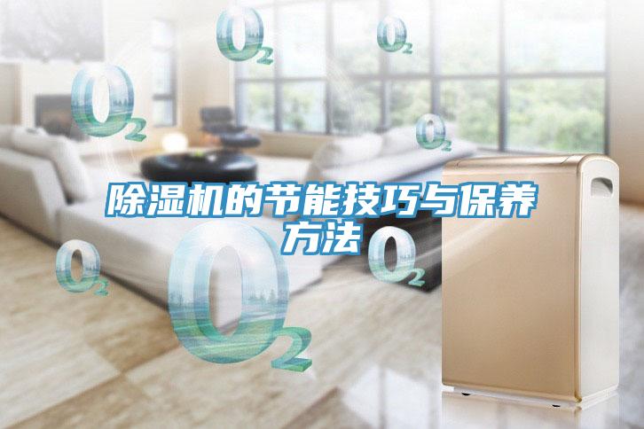 猫咪成人官网的节能技巧与保养方法