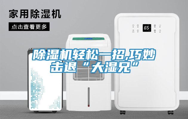 猫咪成人官网轻松一招,巧妙击退“大湿兄”