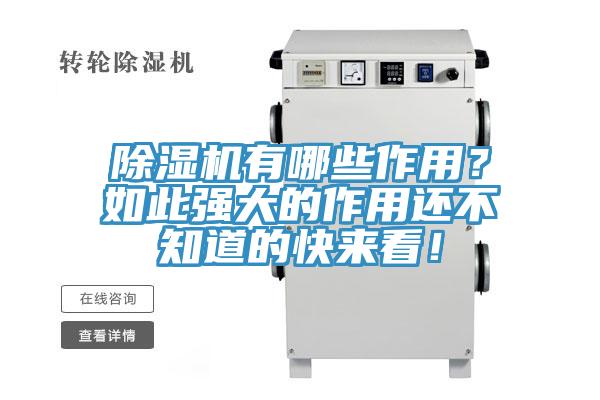 猫咪成人官网有哪些作用？如此强大的作用还不知道的快来看！