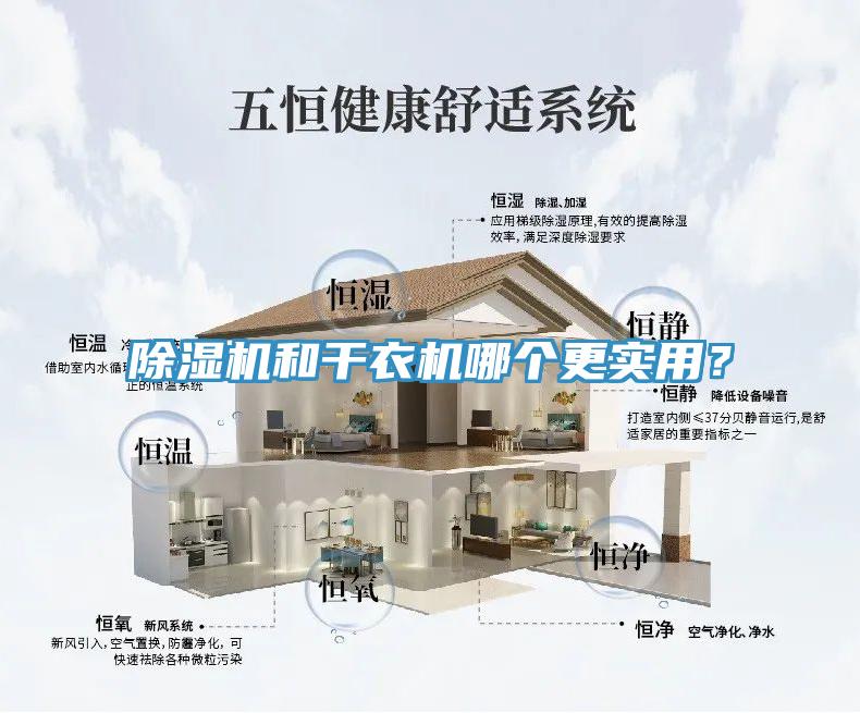 猫咪成人官网和干衣机哪个更实用？