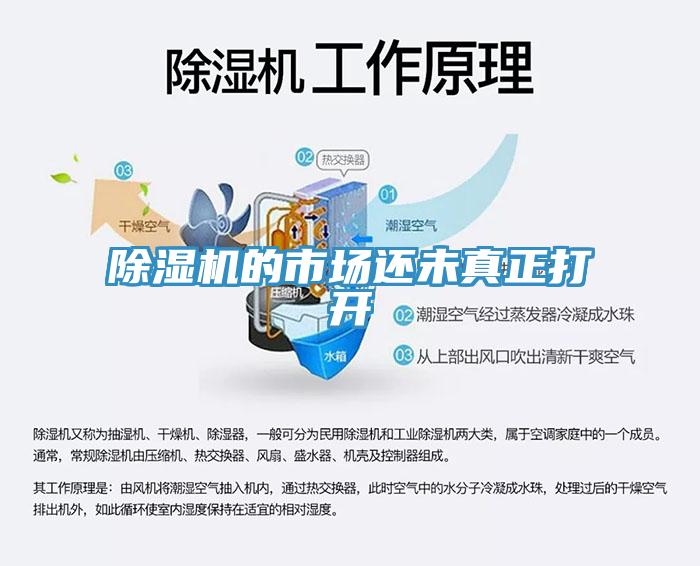 猫咪成人官网的市场还未真正打开