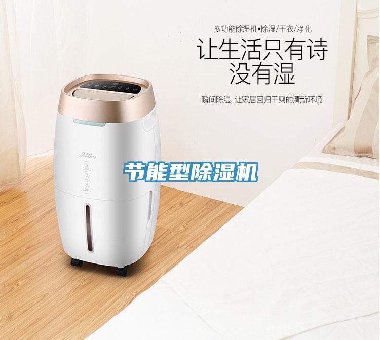 节能型猫咪成人官网