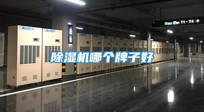 猫咪成人官网哪个牌子好