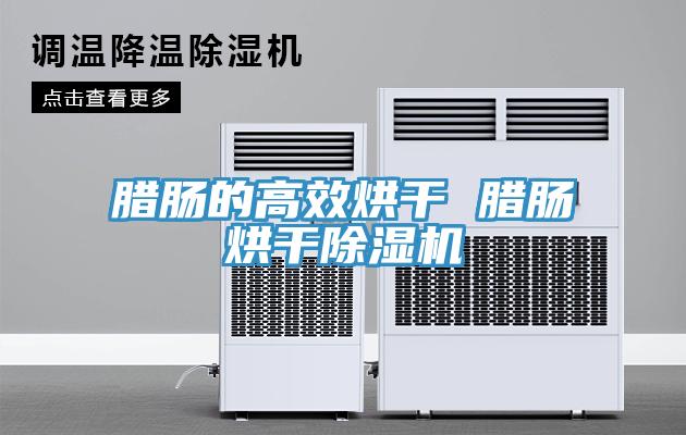 腊肠的高效烘干 腊肠烘干猫咪成人官网