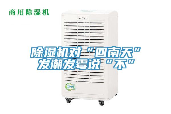 猫咪成人官网对“回南天”发潮发霉说“不”