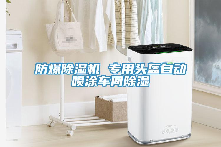防爆猫咪成人官网 专用头盔自动喷涂车间除湿