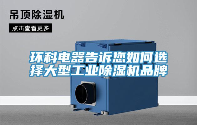 环科电器告诉您如何选择大型工业猫咪成人官网品牌