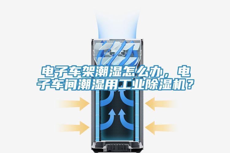 电子车架潮湿怎么办，电子车间潮湿用工业猫咪成人官网？