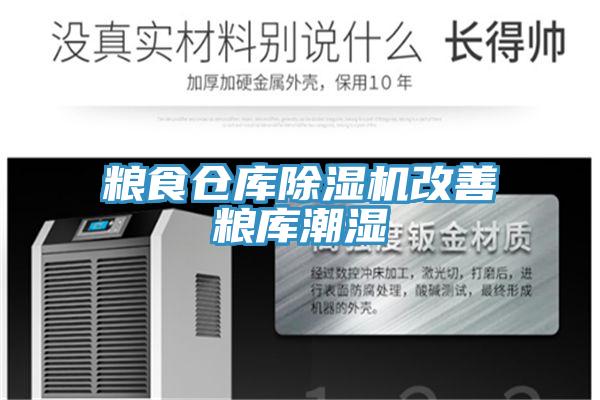 粮食仓库猫咪成人官网改善粮库潮湿