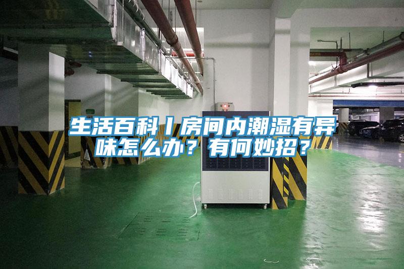 生活百科丨房间内潮湿有异味怎么办？有何妙招？