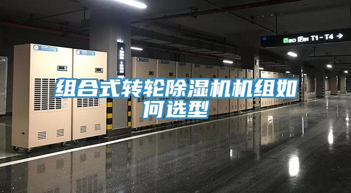 组合式转轮猫咪成人官网机组如何选型