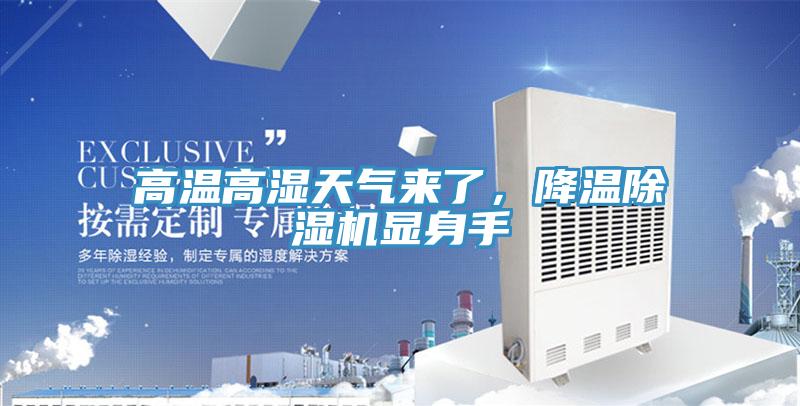 高温高湿天气来了，降温猫咪成人官网显身手