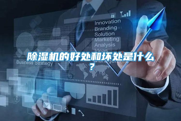 猫咪成人官网的好处和坏处是什么？