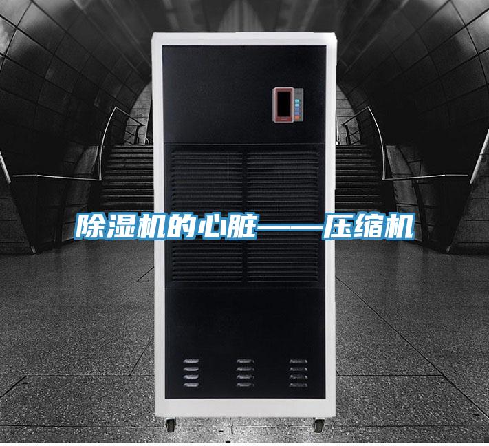 猫咪成人官网的心脏——压缩机