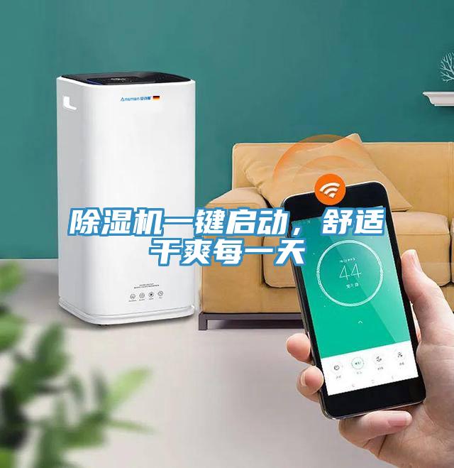 猫咪成人官网一键启动，舒适干爽每一天