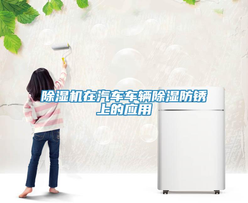 猫咪成人官网在汽车车辆除湿防锈上的应用