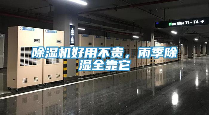 猫咪成人官网好用不贵，雨季除湿全靠它