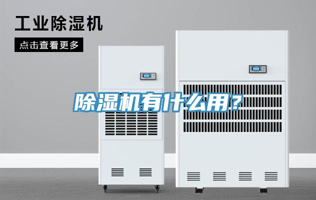 猫咪成人官网有什么用？