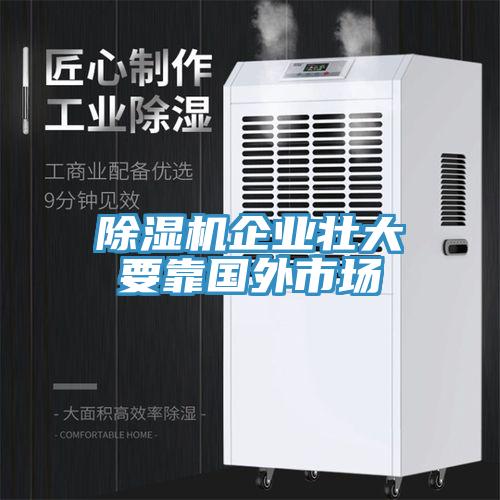 猫咪成人官网企业壮大要靠国外市场