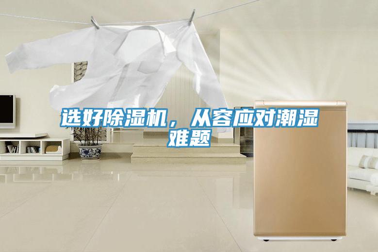 选好猫咪成人官网，从容应对潮湿难题