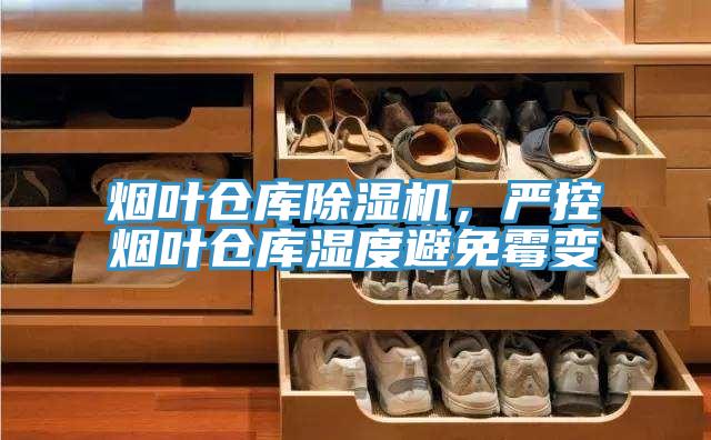 烟叶仓库猫咪成人官网，严控烟叶仓库湿度避免霉变