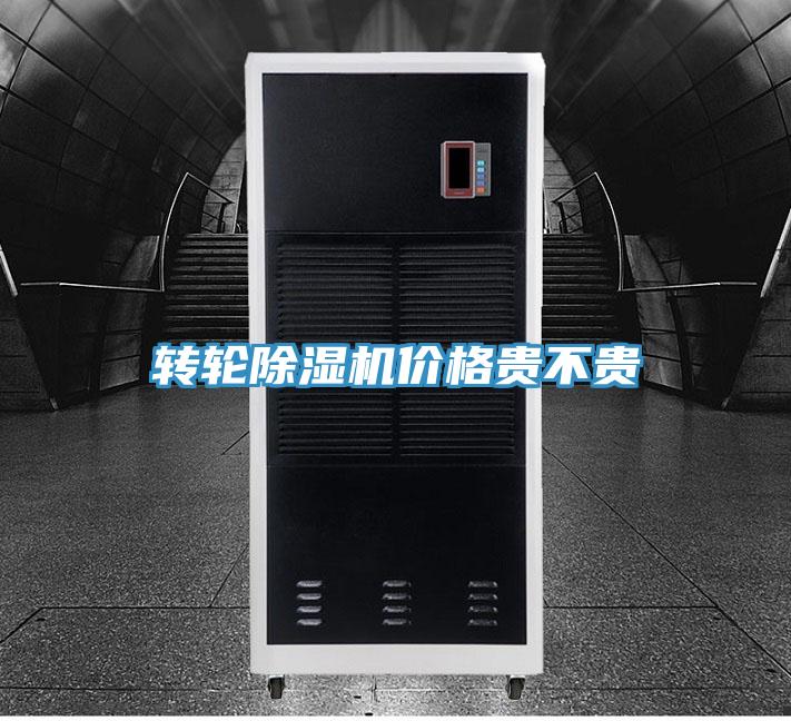 转轮猫咪成人官网价格贵不贵