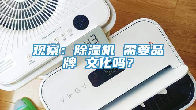 观察：猫咪成人官网 需要品牌 文化吗？