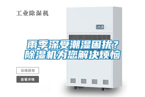 雨季深受潮湿困扰？猫咪成人官网为您解决烦恼