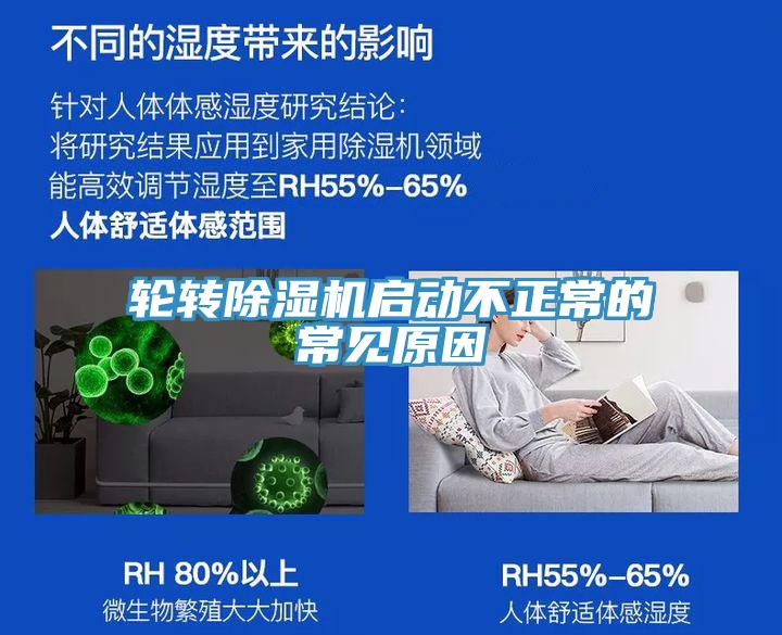 轮转猫咪成人官网启动不正常的常见原因