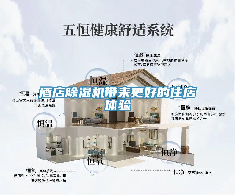 酒店猫咪成人官网带来更好的住店体验