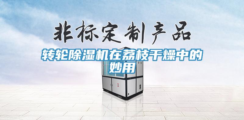 转轮猫咪成人官网在荔枝干燥中的妙用