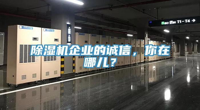 猫咪成人官网企业的诚信，你在哪儿？