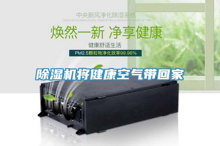 猫咪成人官网将健康空气带回家