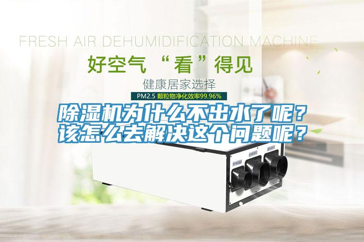 猫咪成人官网为什么不出水了呢？该怎么去解决这个问题呢？