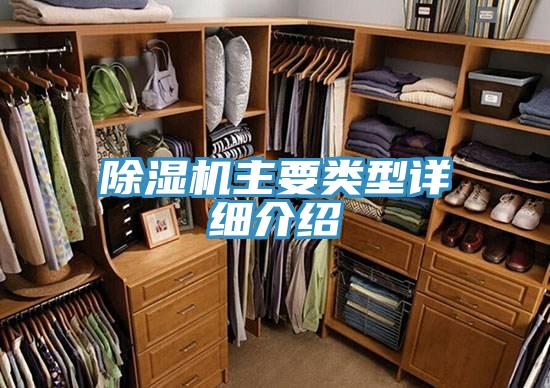 猫咪成人官网主要类型详细介绍