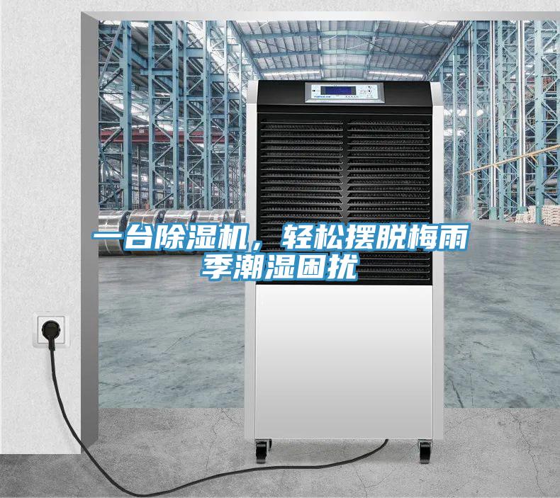 一台猫咪成人官网，轻松摆脱梅雨季潮湿困扰