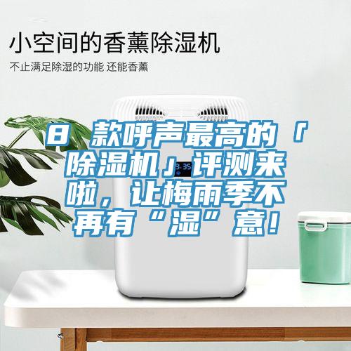 8 款呼声最高的「猫咪成人官网」评测来啦，让梅雨季不再有“湿”意！