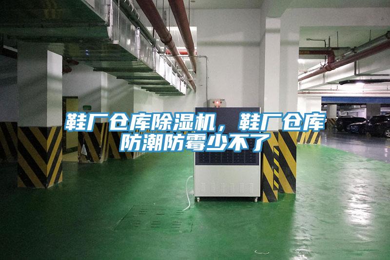 鞋厂仓库猫咪成人官网，鞋厂仓库防潮防霉少不了