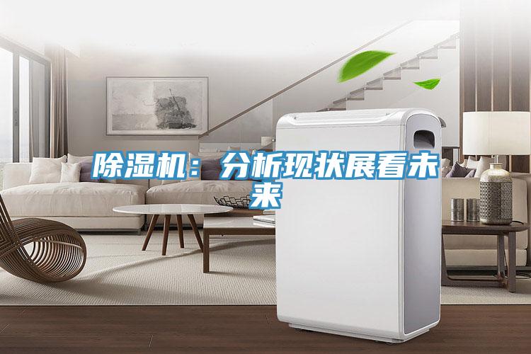 猫咪成人官网：分析现状展看未来