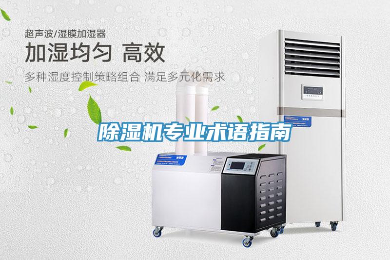 猫咪成人官网专业术语指南
