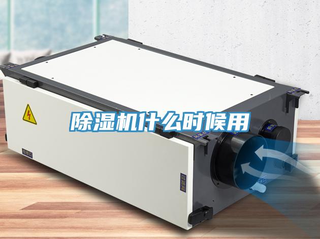 猫咪成人官网什么时候用