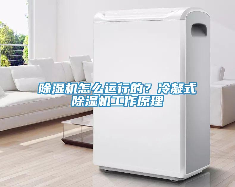 猫咪成人官网怎么运行的？冷凝式猫咪成人官网工作原理