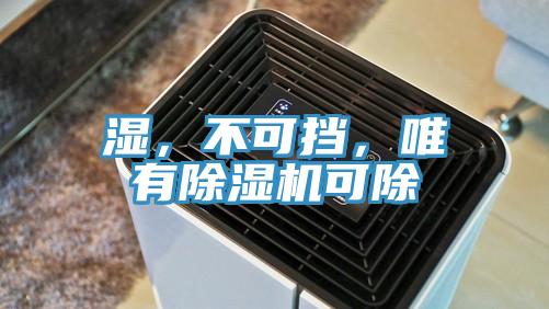 湿，不可挡，唯有猫咪成人官网可除