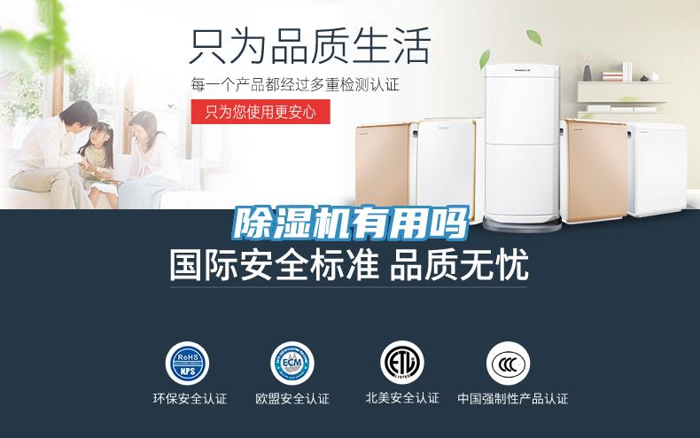 猫咪成人官网有用吗