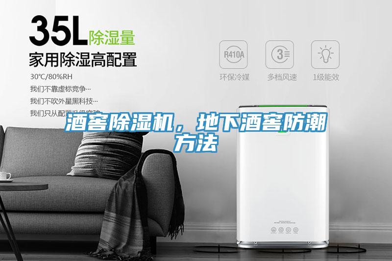 酒窖猫咪成人官网，地下酒窖防潮方法