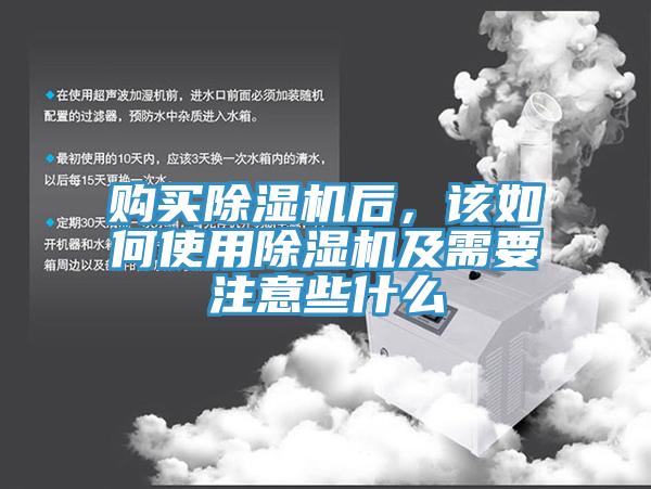购买猫咪成人官网后，该如何使用猫咪成人官网及需要注意些什么