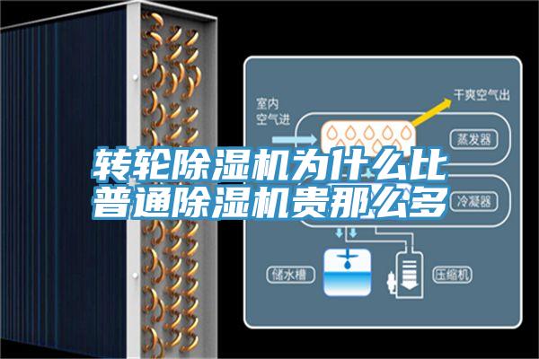 转轮猫咪成人官网为什么比普通猫咪成人官网贵那么多