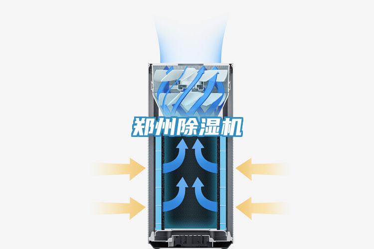 郑州猫咪成人官网
